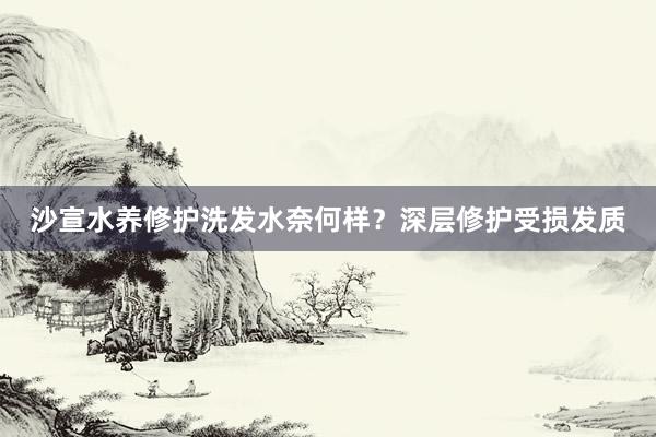 沙宣水养修护洗发水奈何样？深层修护受损发质